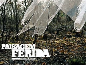 paisagem ferida fabio motta 300x225 Exposição Fotográfica: Paisagem Ferida por Fábio Motta no Palácio da Instrução