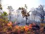 Polícia investiga origem de incêndio em serra no Tocantins