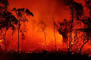 Fogo no Mato Grosso