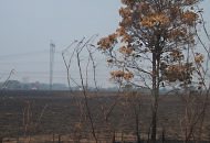 Eu-Reprter: queimadas em Tocantins/ Foto do leitor Jos Bezerra Junior