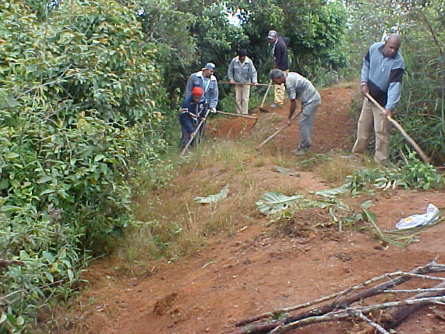 FOTO 2 ACEIROS - CREDITO DIVULGAÇÃO